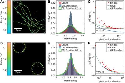 Advanced Data Analysis for Fluorescence-Lifetime Single-Molecule Localization Microscopy